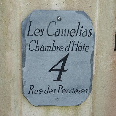 Les Camelias Bed & Breakfast Binic Ngoại thất bức ảnh